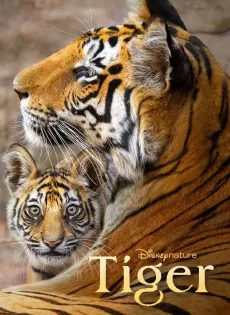 ดูหนัง Tiger (2024) ซับไทย เต็มเรื่อง | 9NUNGHD.COM